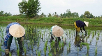 Phải làm gạo bằng cả trái tim và tâm huyết - Tân Long Group