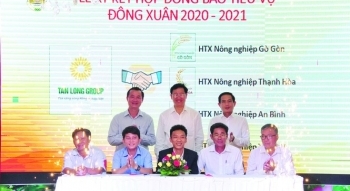 BẮT TAY VÌ MỘT 'CÁNH ĐỒNG HẠNH PHÚC' - Tân Long Group